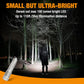 EverBrite Mini LED Keychain Flashlight, High Lumen EDC Pocket Light - Camping, Hiking, Emergency (Battery Include)